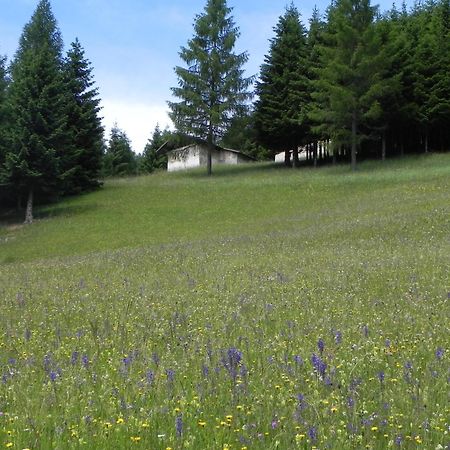 Hotel Isolabella Wellness Fiera Di Primiero Esterno foto
