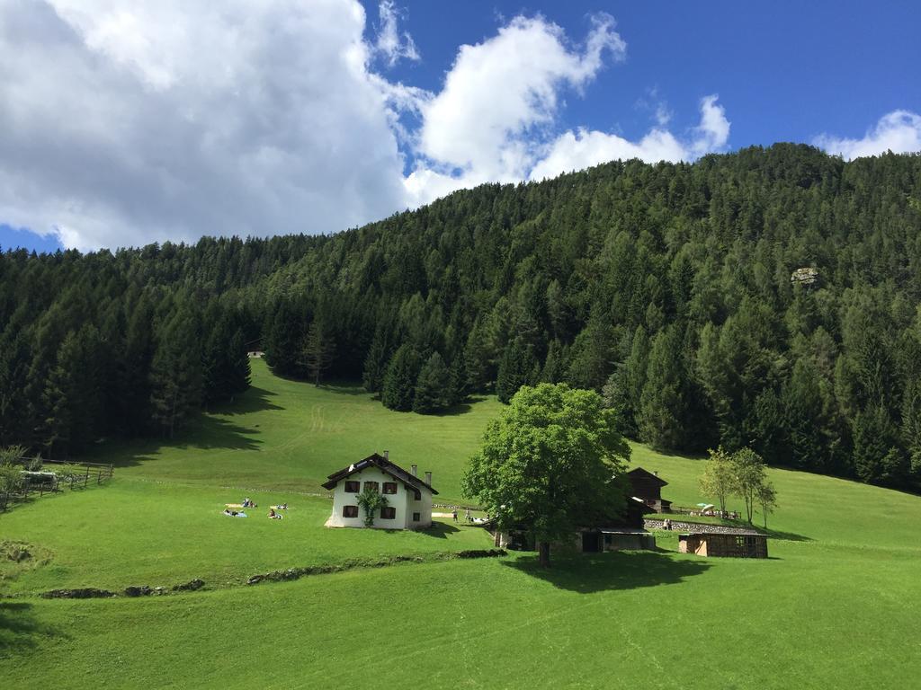 Hotel Isolabella Wellness Fiera Di Primiero Esterno foto